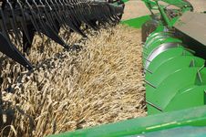 The perfect feeding by the header is the basis for high performance. Due to the active transport the grain is always optimally supplied to the threshing unit.