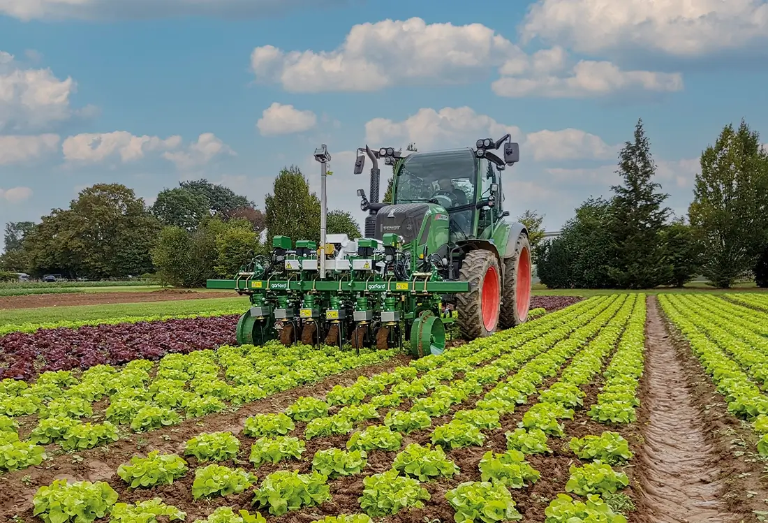 Garford Gerät vor Traktor auf dem Salatfeld