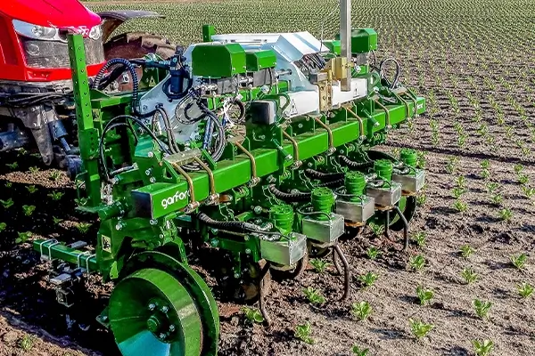 Garford Hacke auf dem Feld