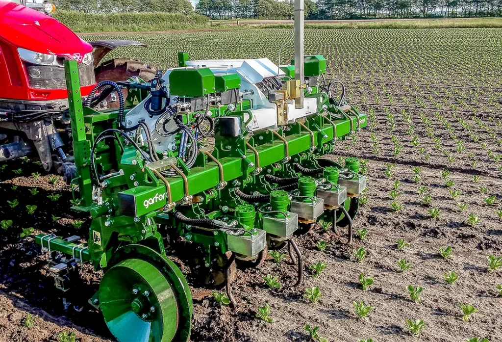 Garford Robocrop Inrow Weeder Salad